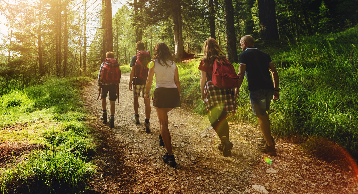 family in woods on a hike