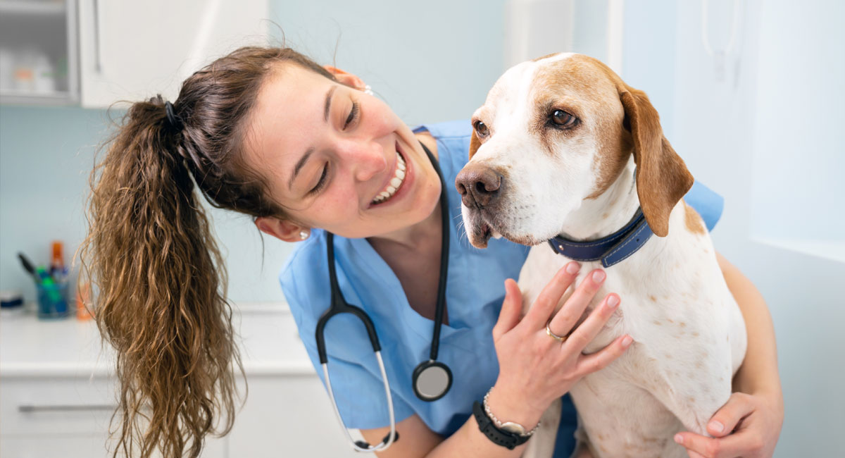 veterinarian with a dog